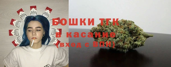 эйфоретик Аркадак