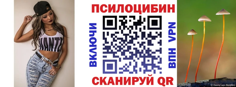 маркетплейс клад  Сясьстрой  Галлюциногенные грибы мухоморы 