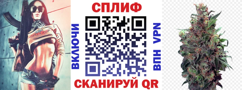 Каннабис Ganja  Сясьстрой 
